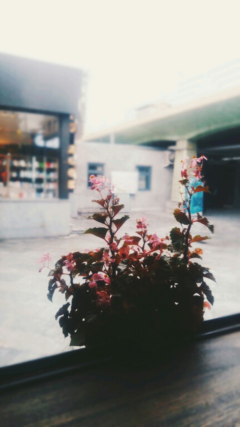 Metro Flower