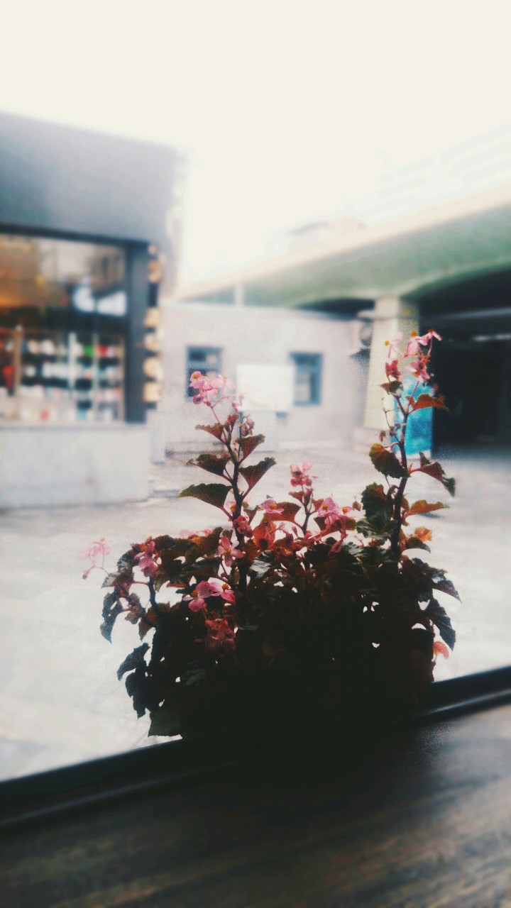 Metro Flower