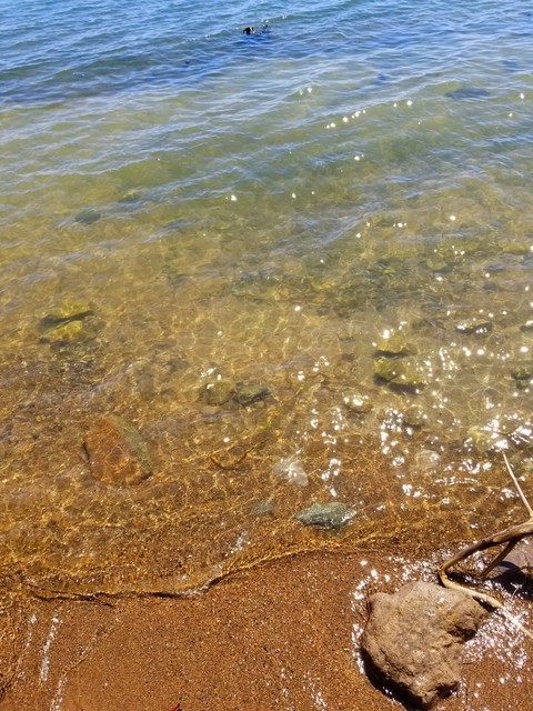 shore