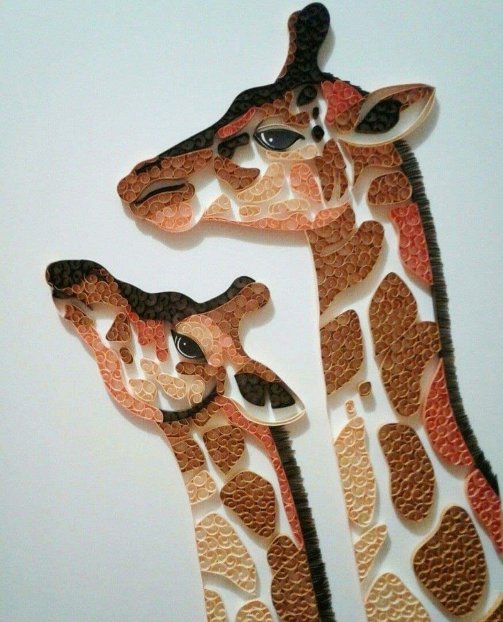 giraffe