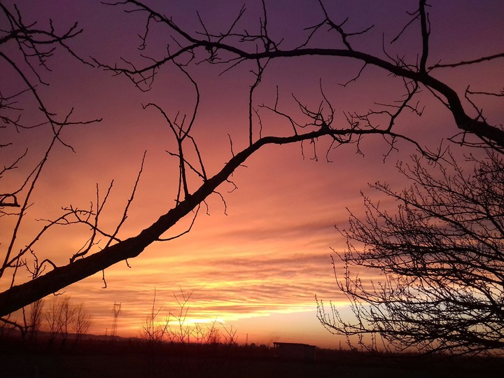 Some things are just beautiful #2