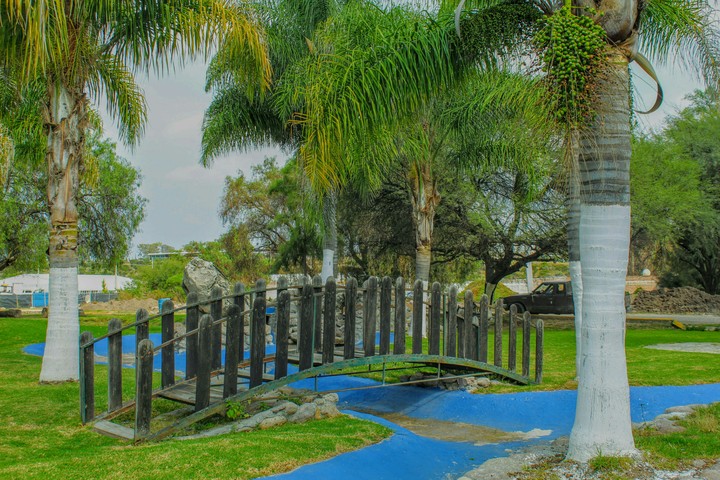 El puente entre palmeras.