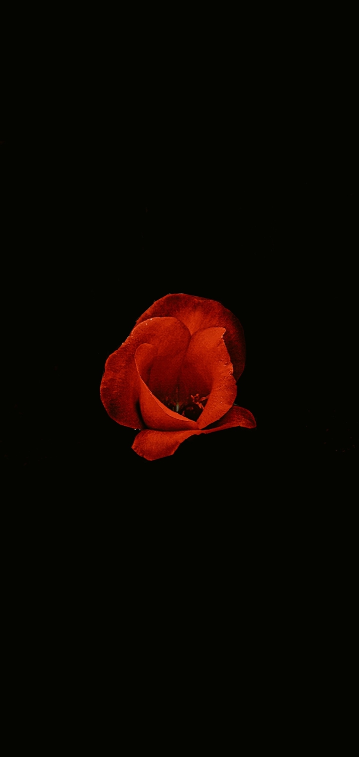 Dark effect