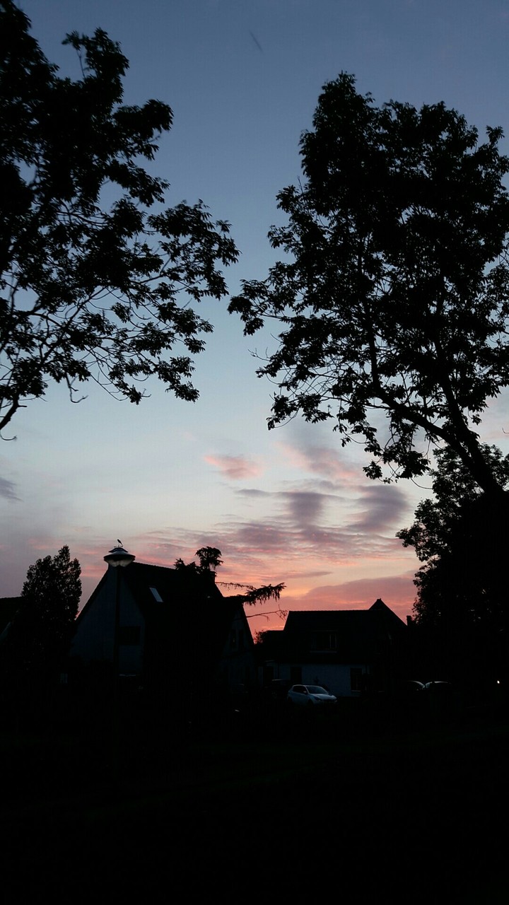 Dutch nights