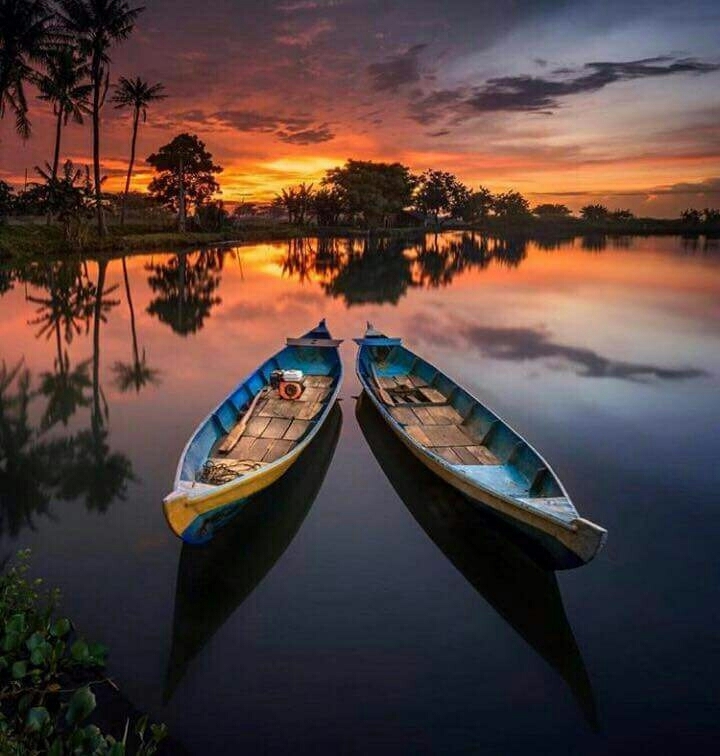 neven feel alone when nature is always with you.