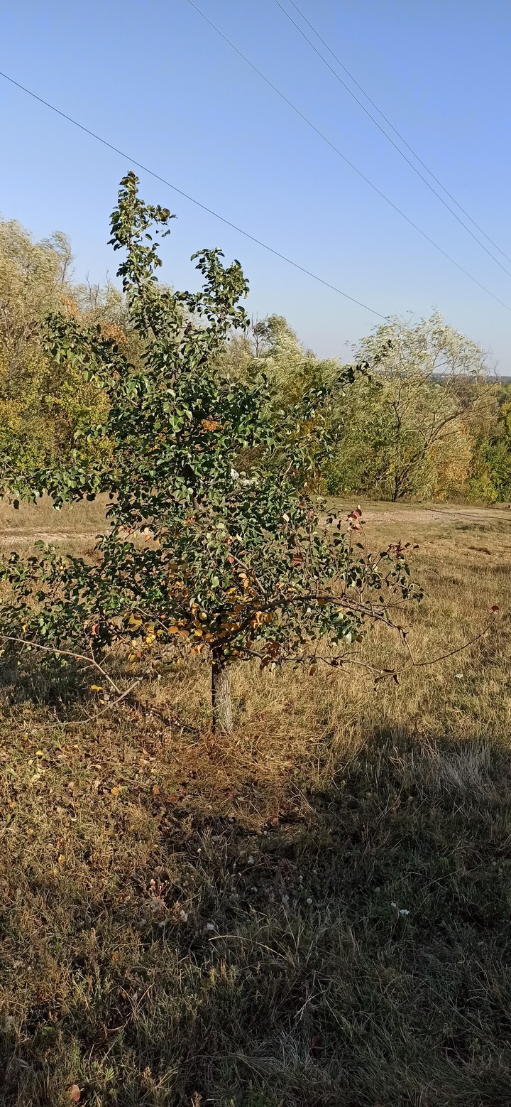 #Україна #осінь #autumn