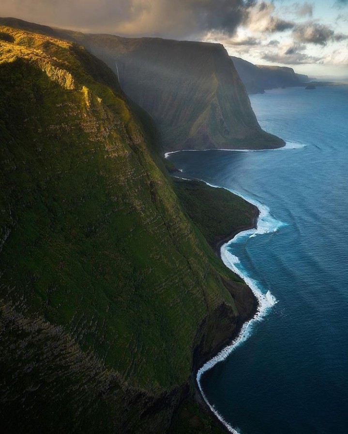 beaty
