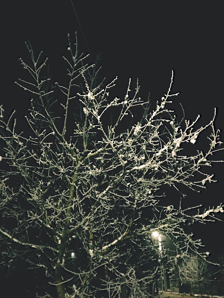 Snow