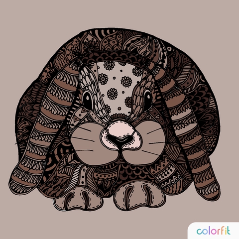 Rabbit