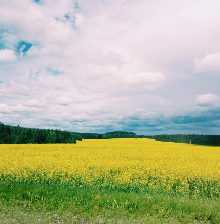 nature