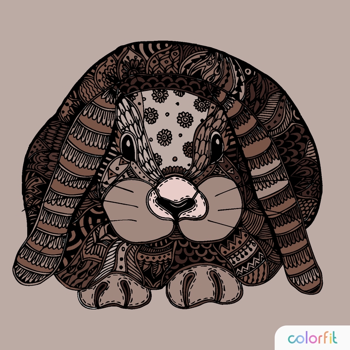 Rabbit