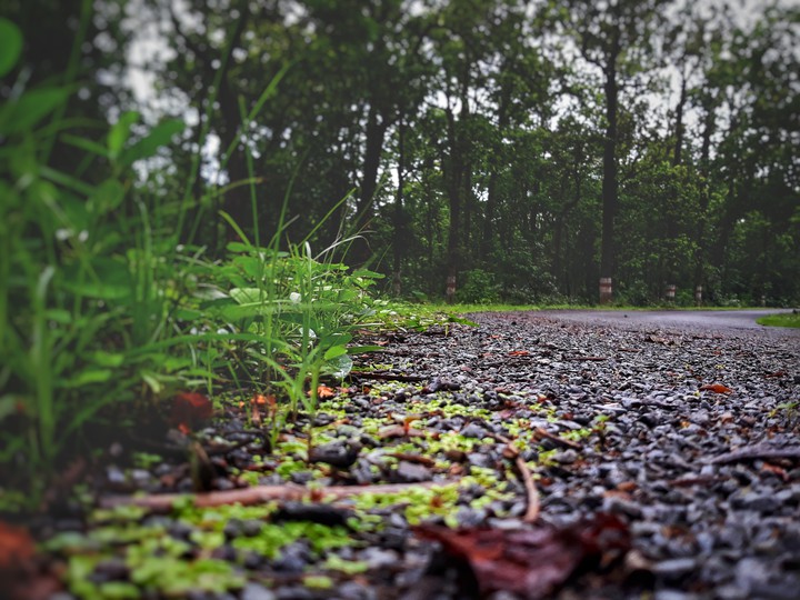 trip_00_graphy