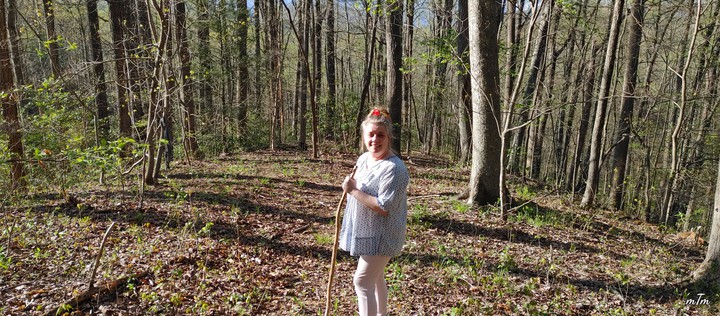 Honey at Timber Hideaway