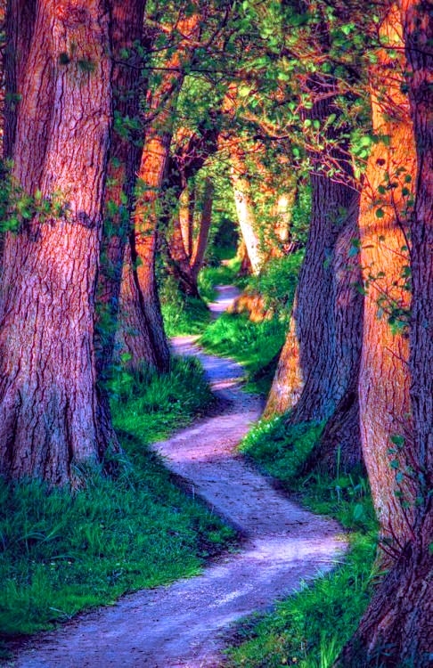 nature