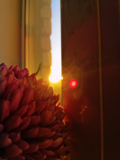 sunny.