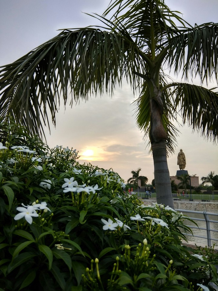 sun set