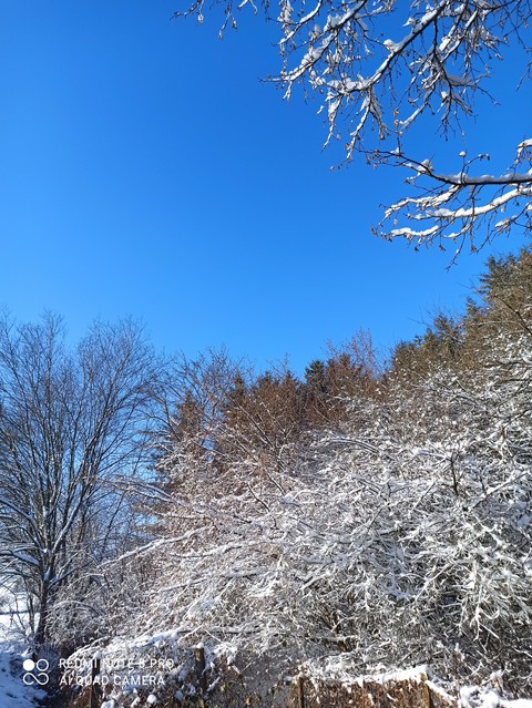 hiver