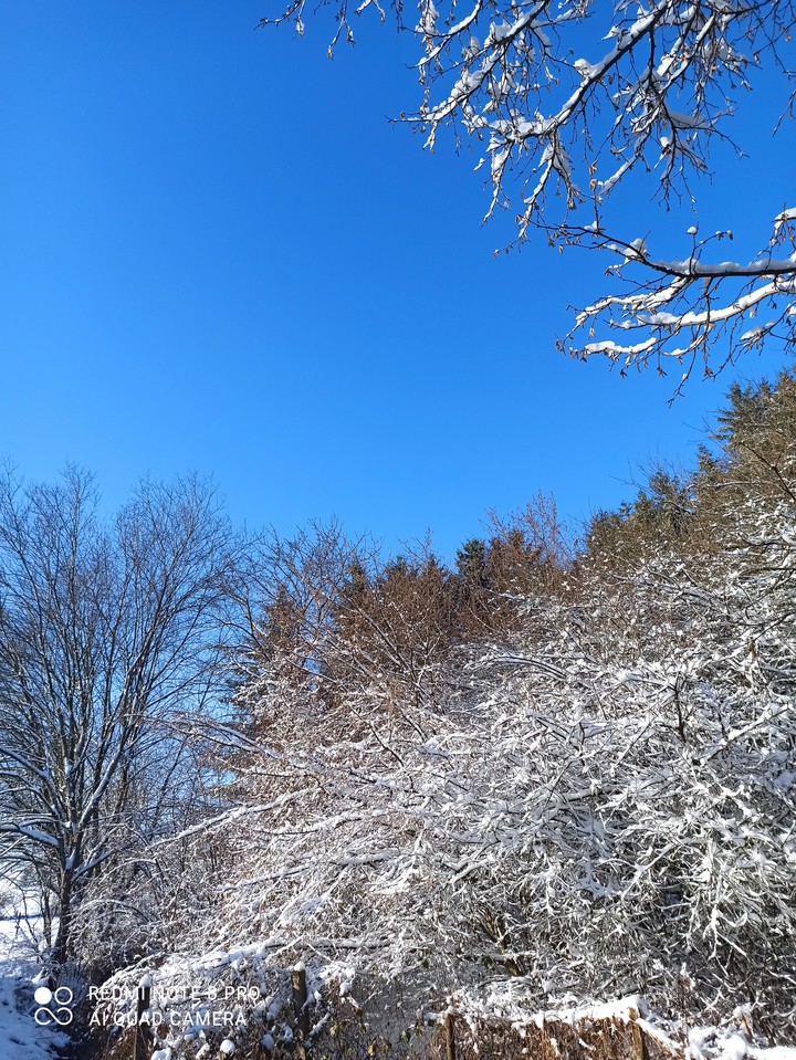 hiver