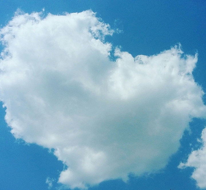love is in the air