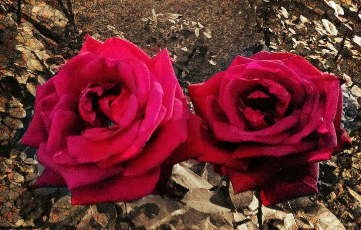 You &Me