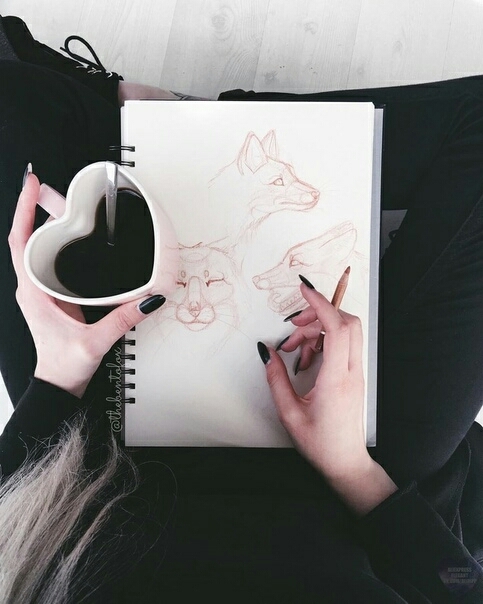 fox
