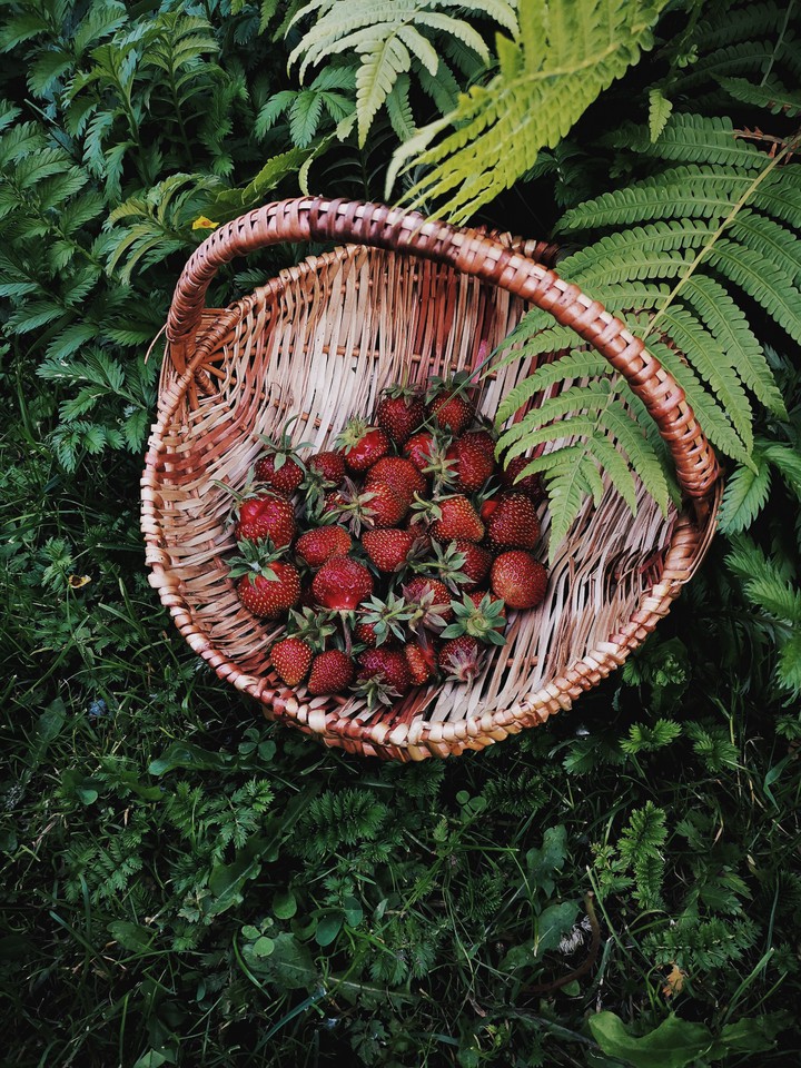 strawberry