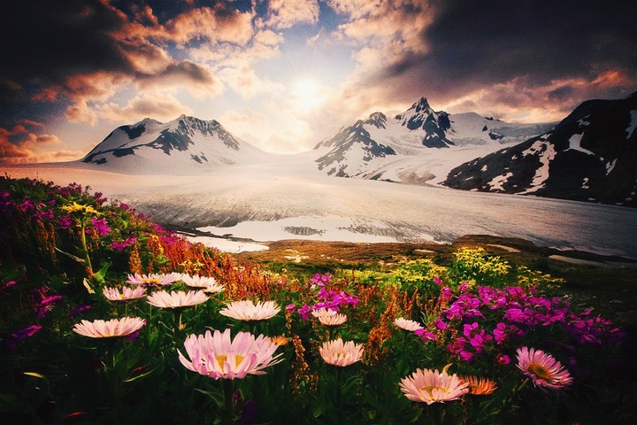 mount scenery