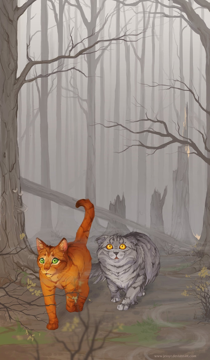 Cat - Warriors .