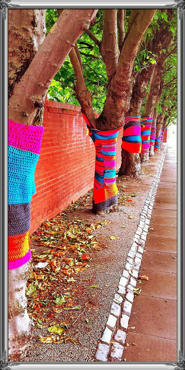 Tree Huggers