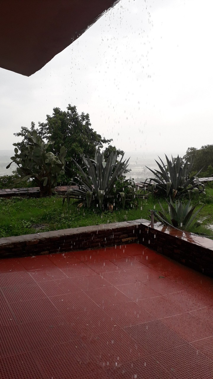 Scene during rain