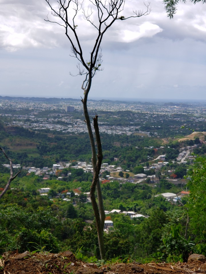 vista del campo a la ciudad .