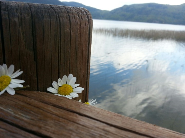 lk