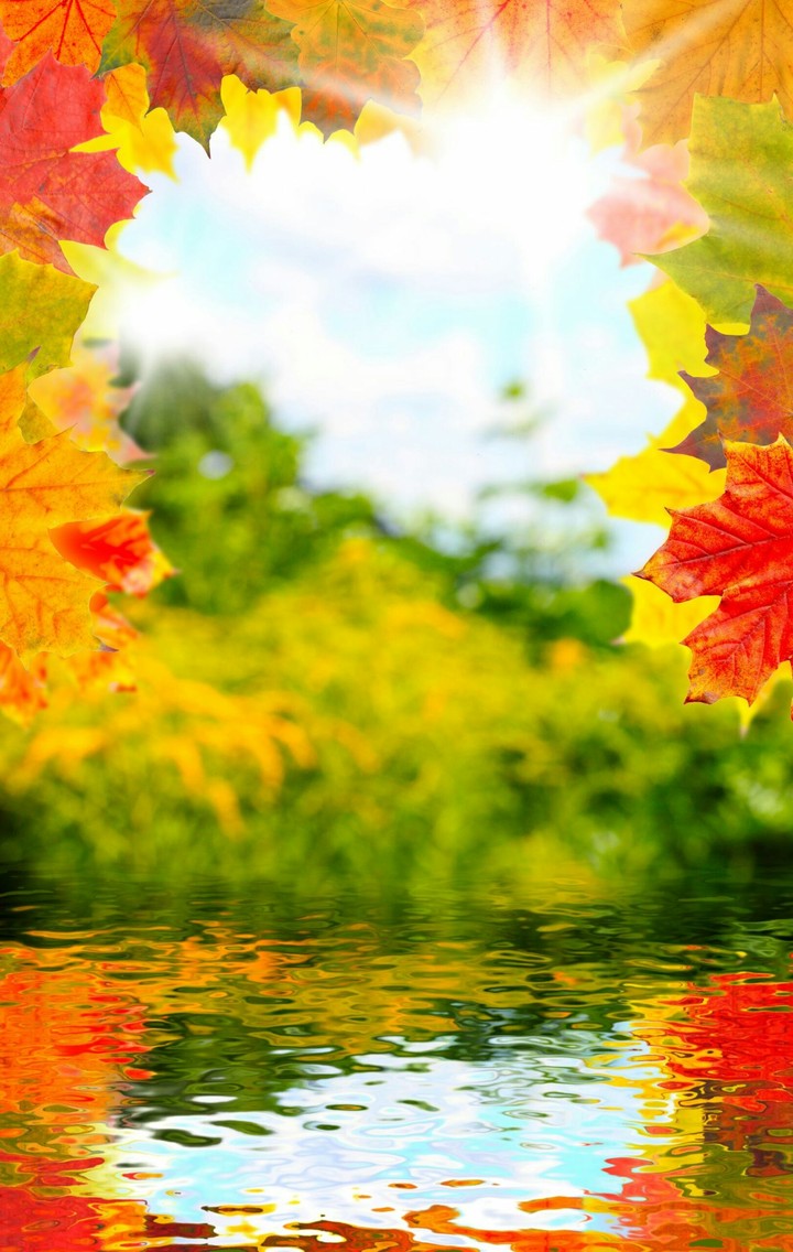 autumn
