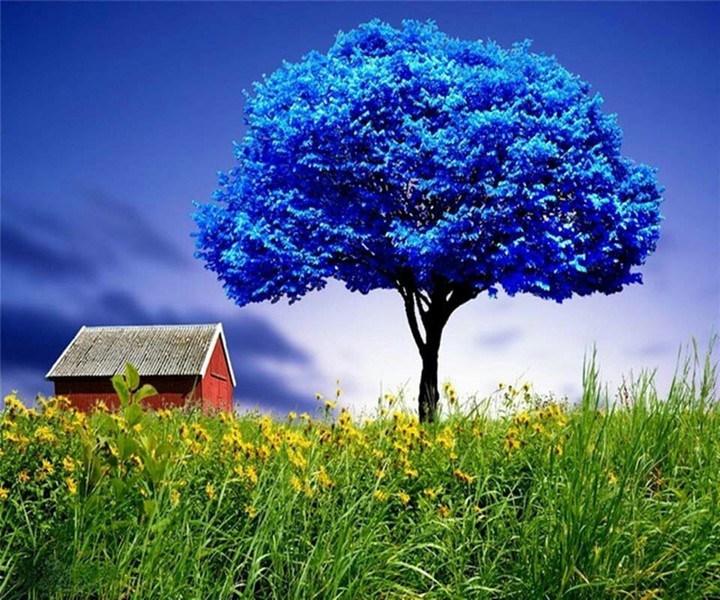 farm house