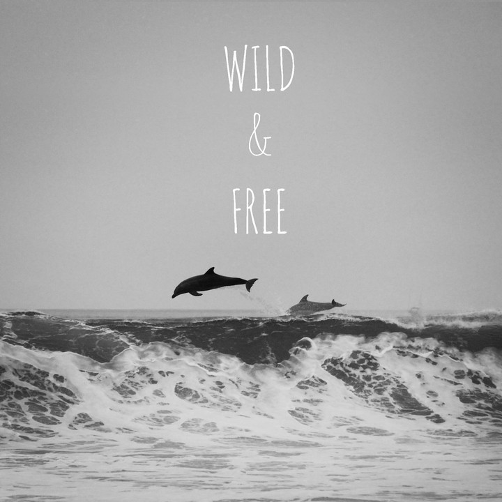 wild nd free