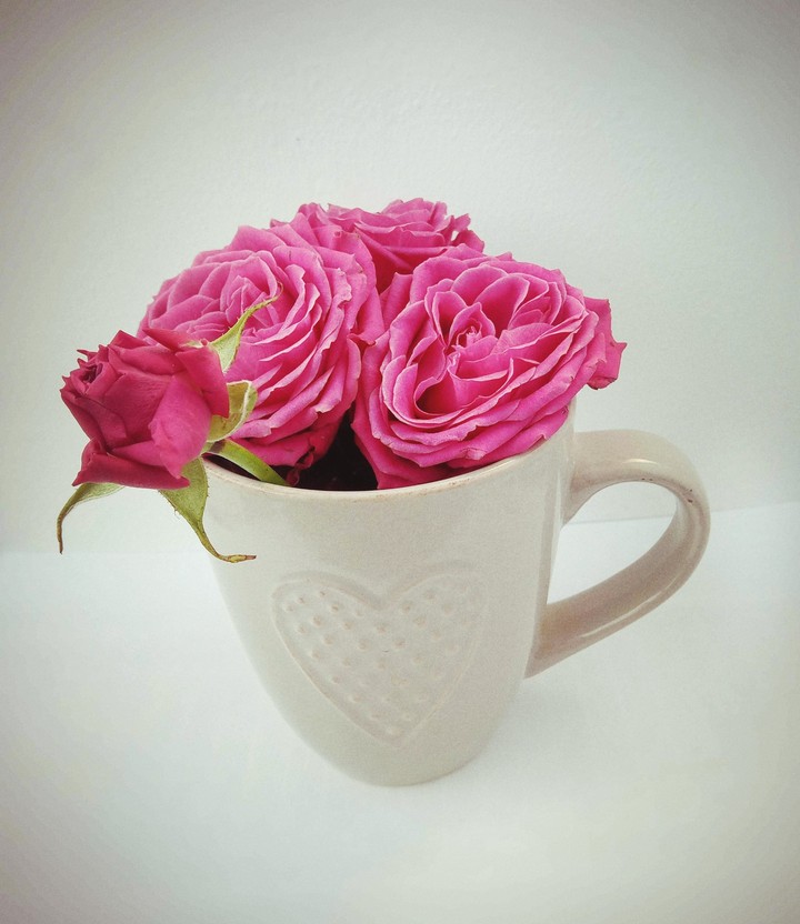 rose