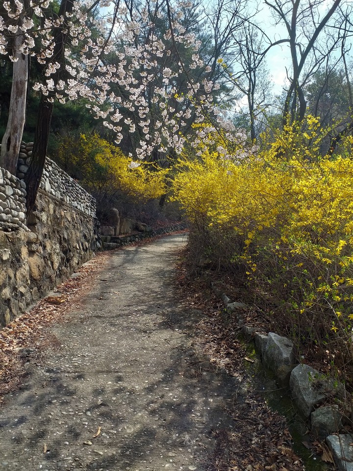 산책길