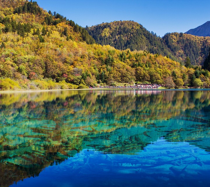 reflection