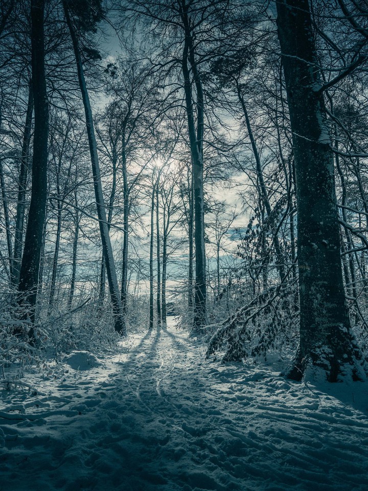 nature