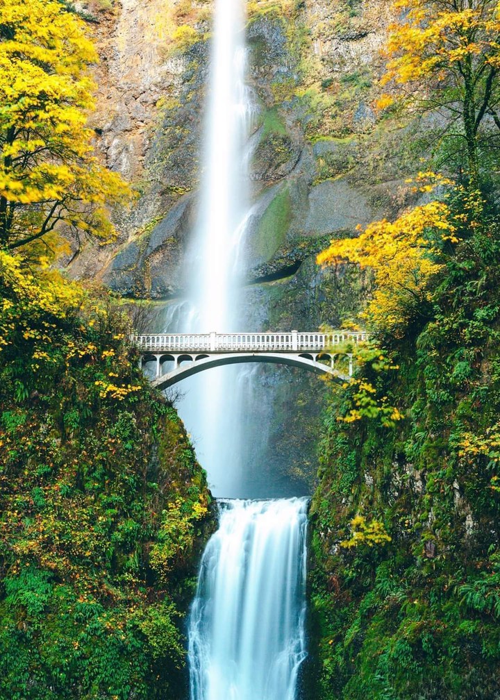 nature