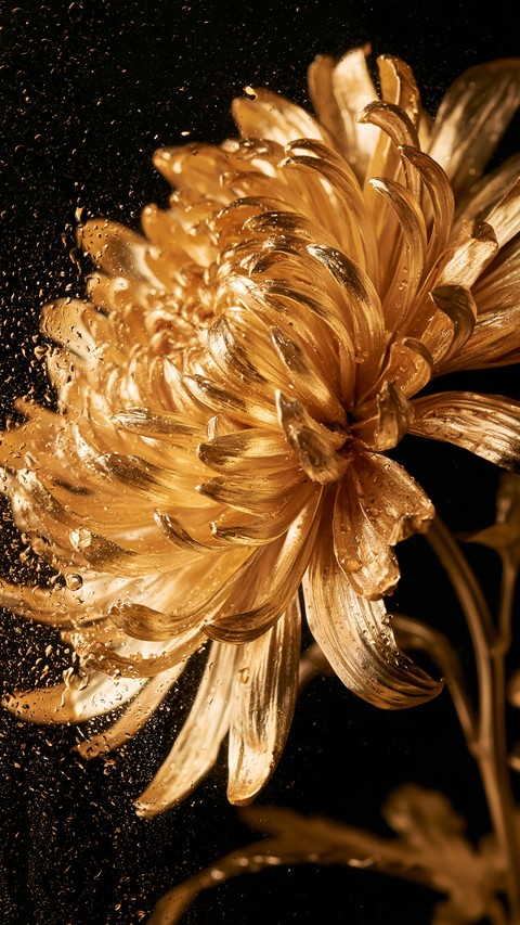 обои Yellow, petal