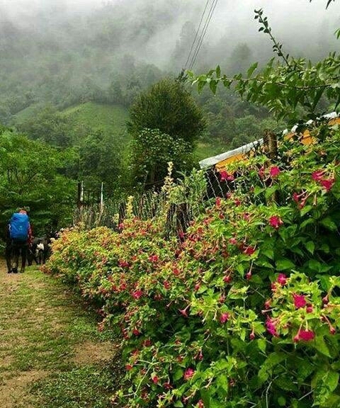 طبعیت زیبا