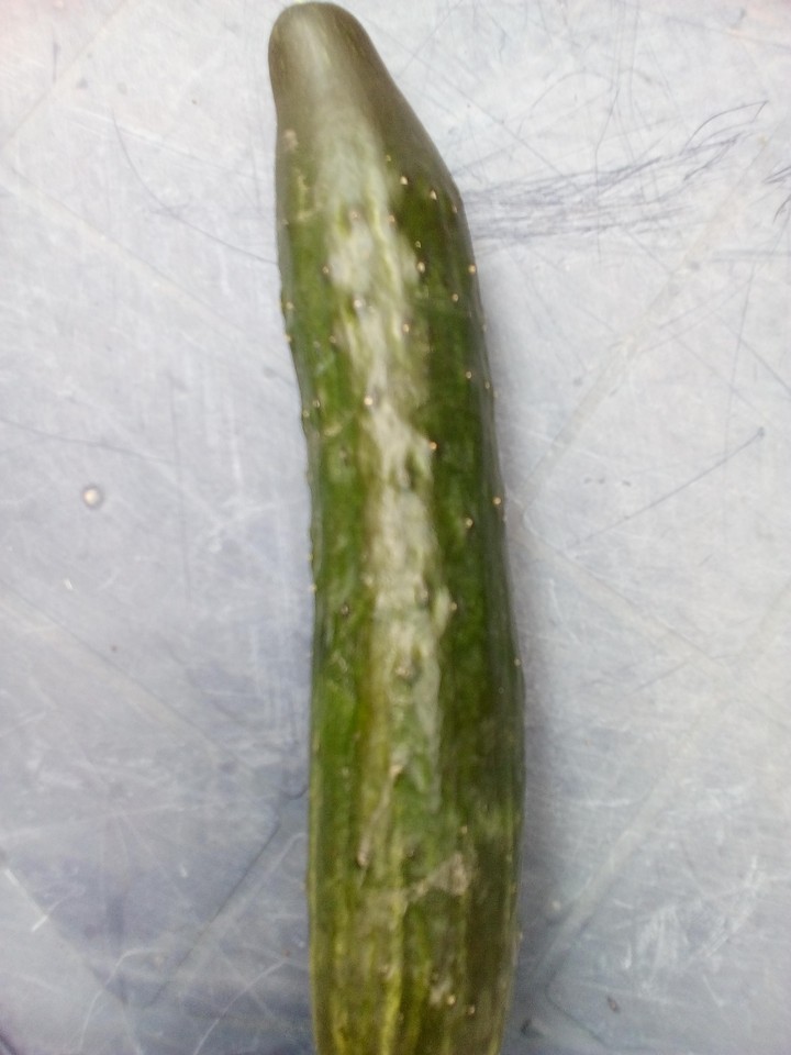 Gurge aus den Garten