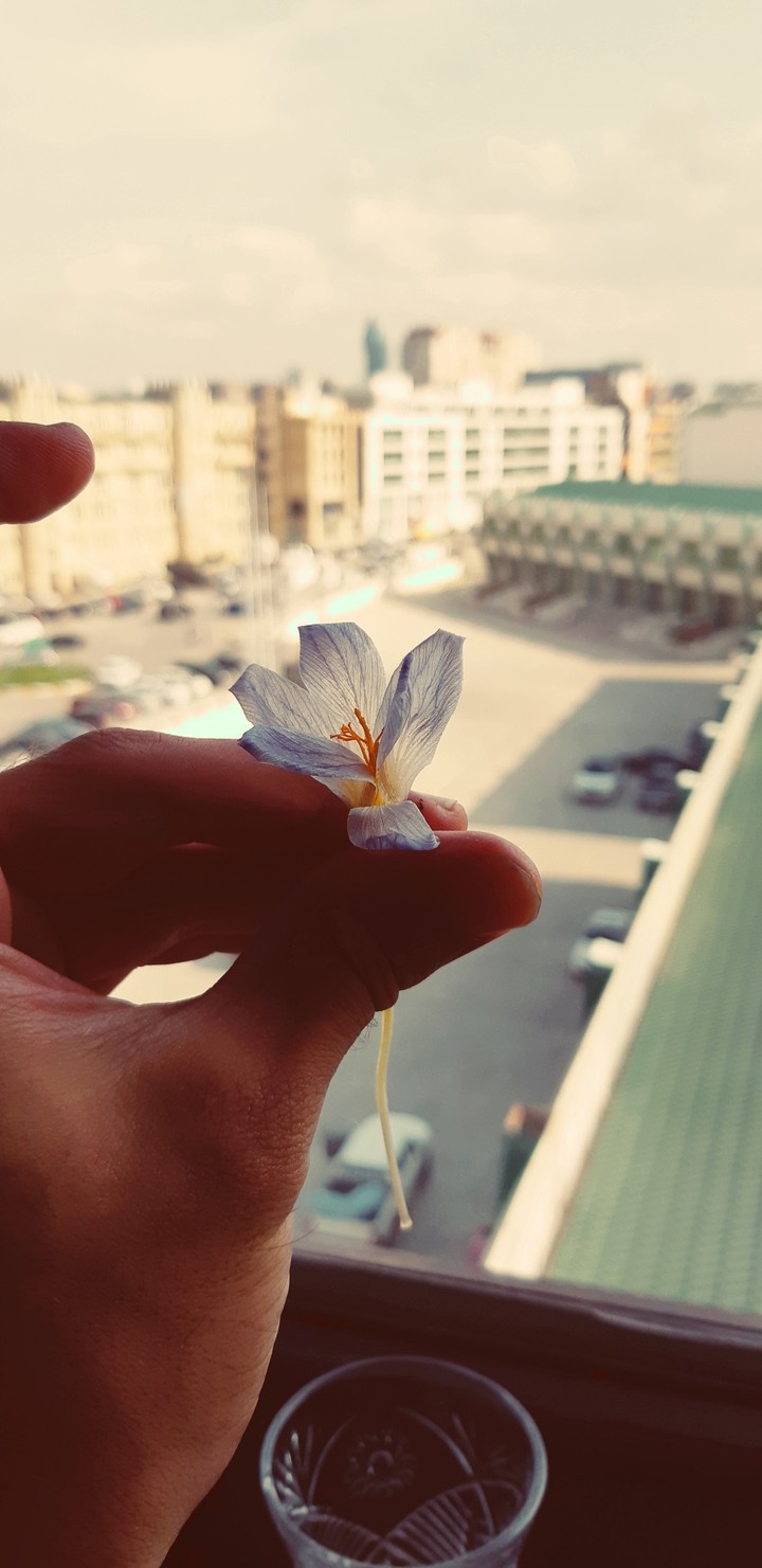 Baku City