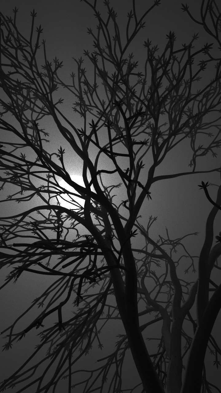 Dark Night