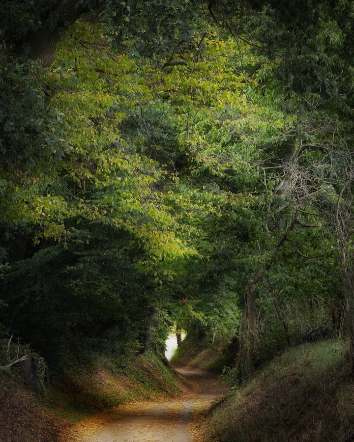 tünel yol
