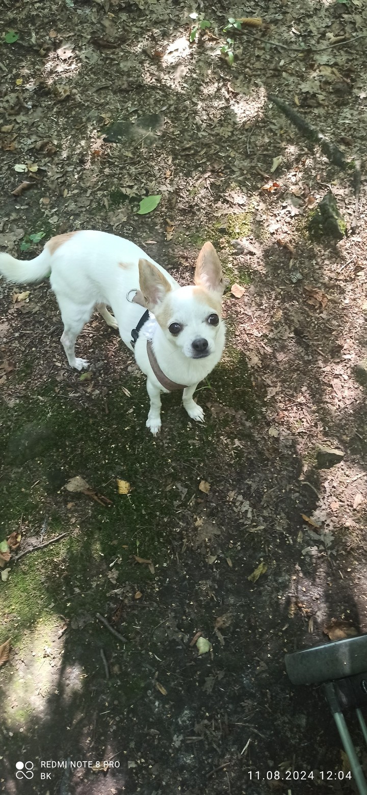 .