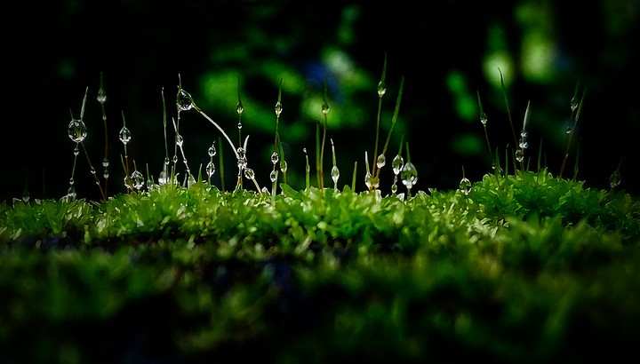 waterdrop