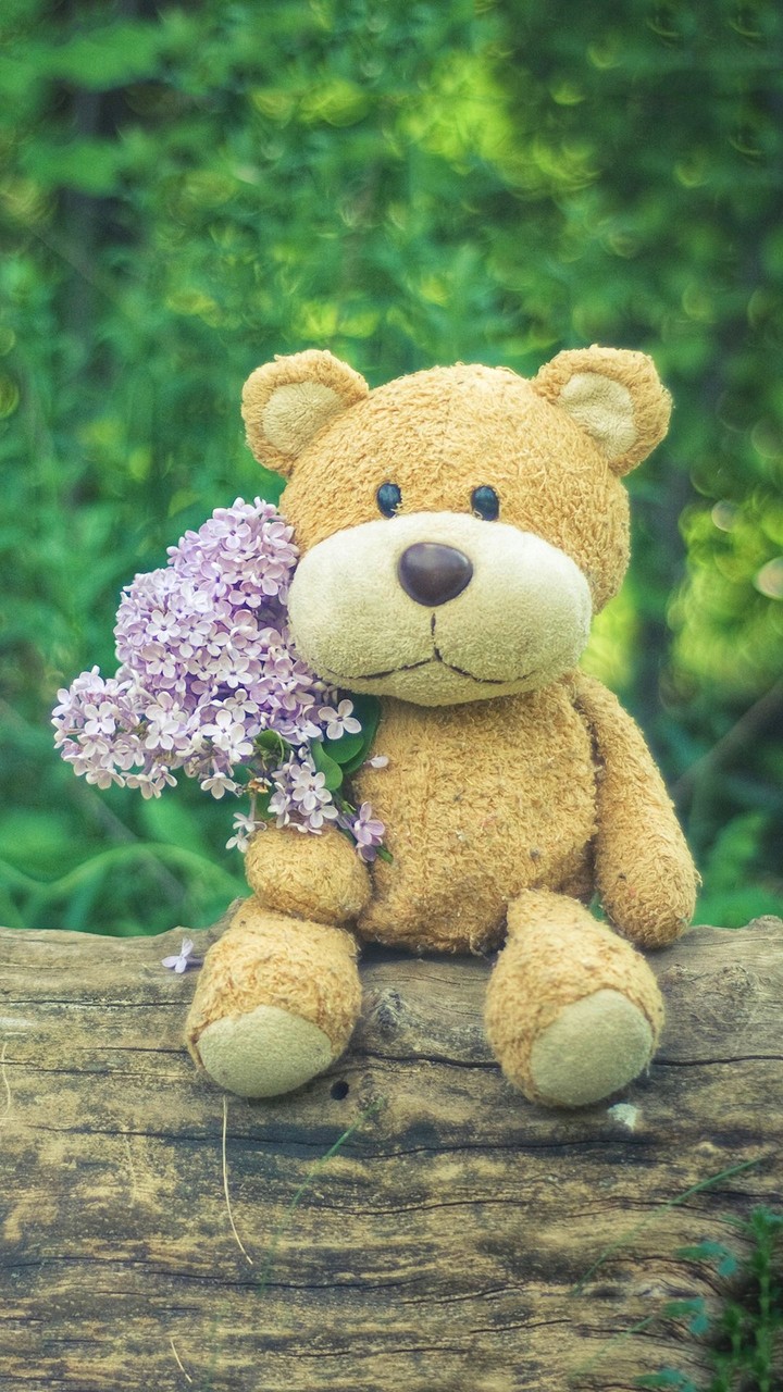 Teddy bear