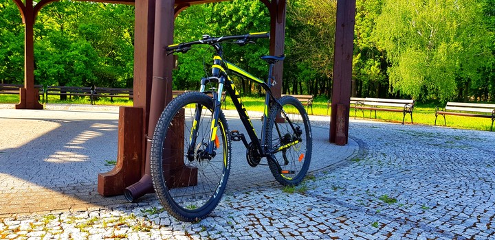 Bicycle